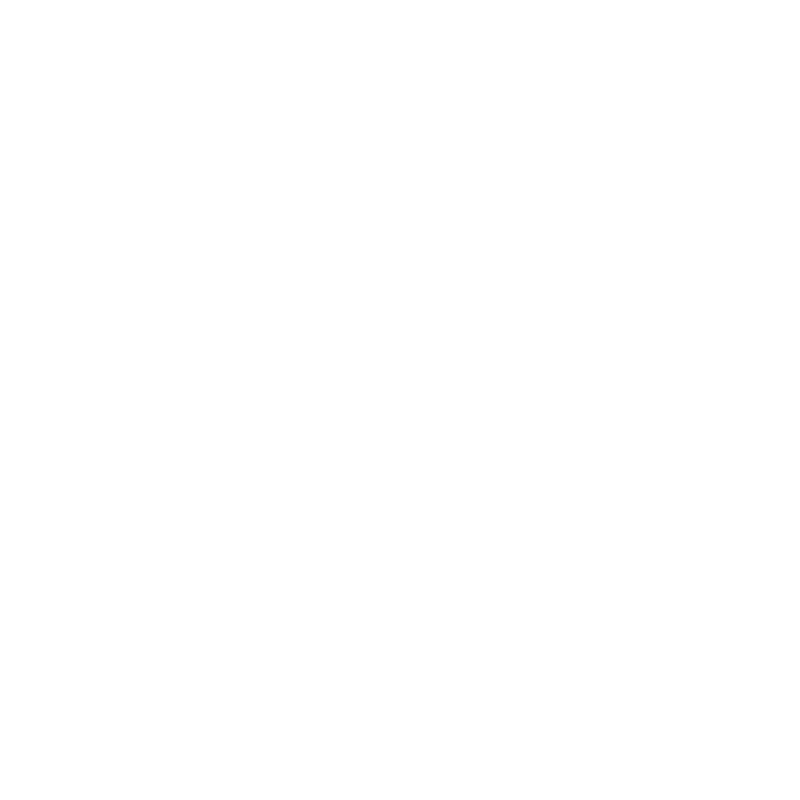 Mohamed Wael Logo